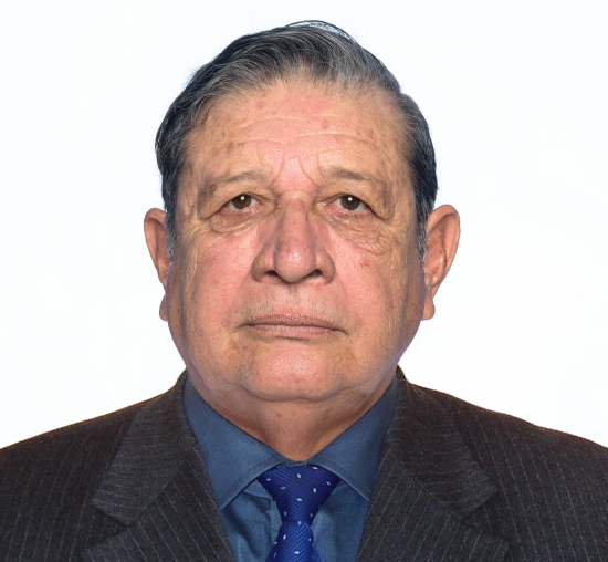 Dr. Pedro José Vertiz Querevalú - Principal