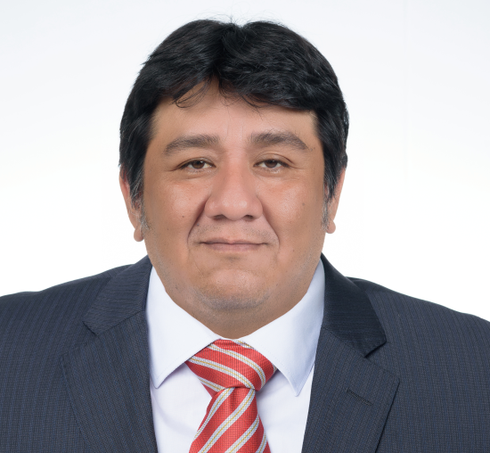 Dr. Wilser Renan Castillo Carranza - Asociado